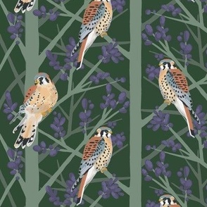 Kestrel Falcon Bird wallpaper with earth tones, sage green, and lavender purples
