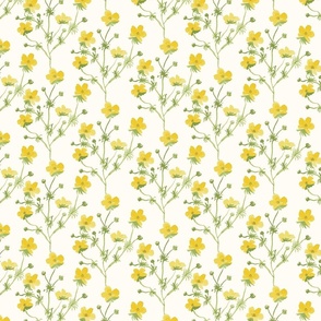 Buttercup Trailing Floral