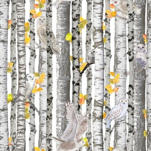 Owls in the Autumn Birches