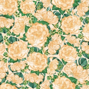 Large rectangular swatch cream roses and monstera 24x16in repeat