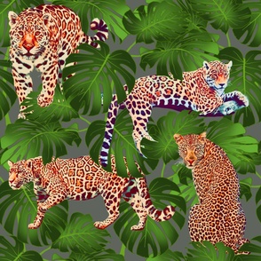 Panthera Monstera - Camoflaje