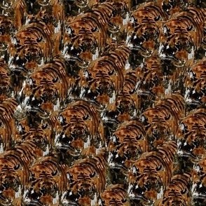 Tigers Incognito - Brown