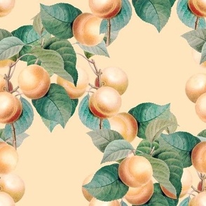 Peach Trellis, Soft Peach Background