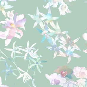 Pastel Orchids on Sage 150