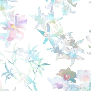 Pastel Orchids on White 150