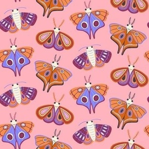 Small Magical Moths on Pink for Autumn and Halloween