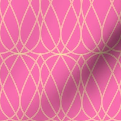 melon seed deco  background pink