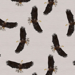 Birds of Prey Hand Painted Eagles on Canvas - Smaller