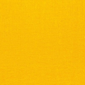 Freesia Yellow - Canvas Textured Color For Folk Art Dragon Flies