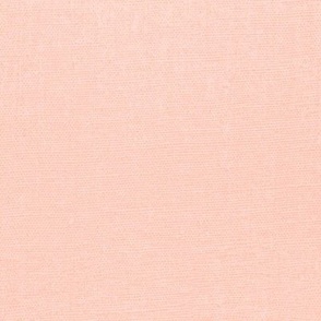 Poppy Pink - Canvas Textured Color For Folk Art Dragon Flies