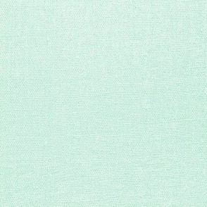 Pale Mint Green - Canvas Textured Color For Folk Art Dragon Flies