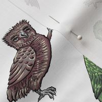Medieval Owls - White