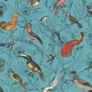 Birds of prey and parrots on toile background, botanical illustrations