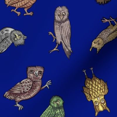 Medieval Owls - Blue