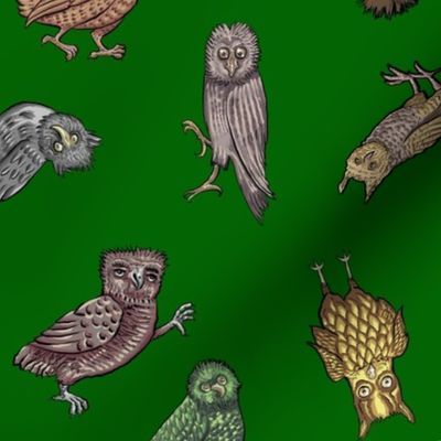 Medieval Owls - Green