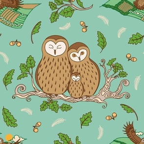 Oak Tree Owls