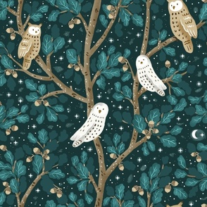 Owls and Moon in a Starry Night