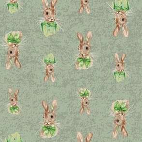 Brown Peter Rabbit bunny dressed in green shirt bow tie & suspenders & girl bunny in bow on artichoke green texture for baby boy / baby girl & children’s nursery