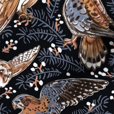 American Kestrel  Barn Owl   Birds of Prey  WINTER NIGHT dark blue background  // grey pastel blue beige and orange sparrow hawk falcon flying medium scale