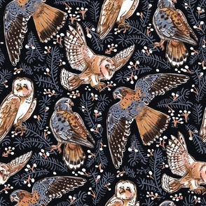 American Kestrel  Barn Owl   Birds of Prey  WINTER NIGHT dark blue background  // grey pastel blue beige and orange sparrow hawk falcon flying medium scale