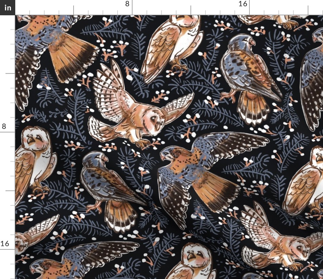 American Kestrel  Barn Owl   Birds of Prey  WINTER NIGHT dark blue background  // grey pastel blue beige and orange sparrow hawk falcon flying medium scale