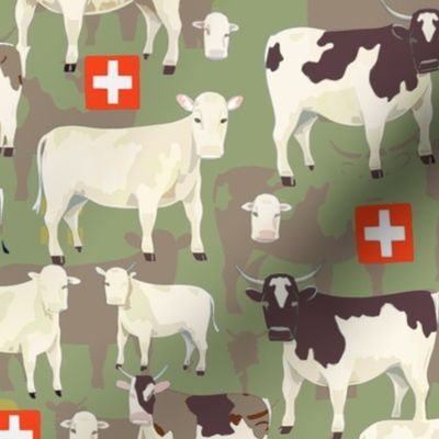 Cows switzerland
