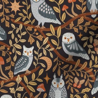 Nocturnals birds of prey from Spain - cute owls, branches and leaves in the fall woodlands - medium scale
