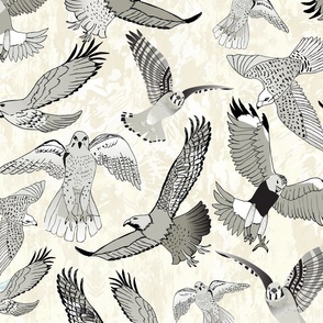 Flying falcons shades of grey black and white neutral cream background