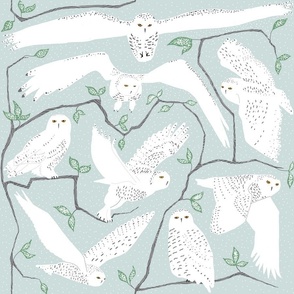 Snowy Owls