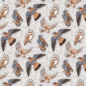 American Kestrel and Barn Owl // Birds of Prey // bunny grey background and  orange sparrow hawk falcon flying // SMALL scale