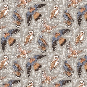 American Kestrel and Barn Owl_Birds of Prey_warm Neutral taupe _SMALL scale