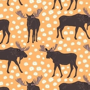 Moose in the Daisies on Tangerine