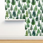 Rustic Pine Tree Forest Woodland