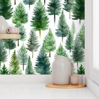 Rustic Pine Tree Forest Woodland