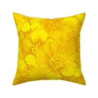 sunny yellow buttercup  photorealistic