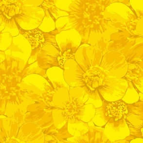 sunny yellow buttercup  photorealistic