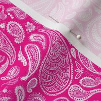 Hot Pink Barbiecore Paisley, Small