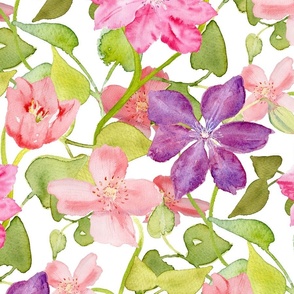 Pink buttercups? Clematis hand painted watercolour jumbo 24inch
