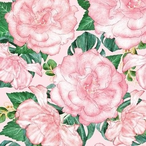 Large Pale Pink and Green Floral 12x12in Roses and Monstera Print