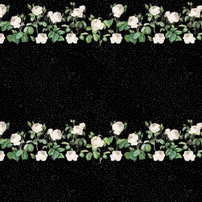 Vintage White Roses Border Black Medium scale