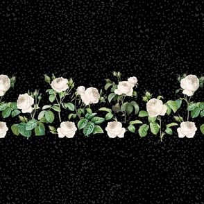 Vintage White Roses Border Black Large scale