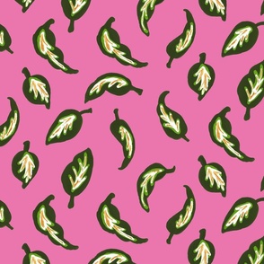 Leaves in Green against Pink Background