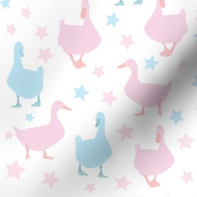 Ducks and Stars - pink and blue