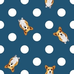 Corgi spot blue