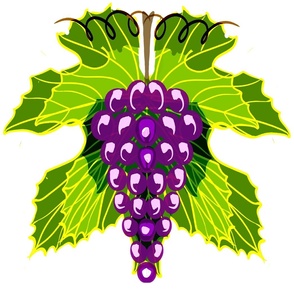 Organic Grapes