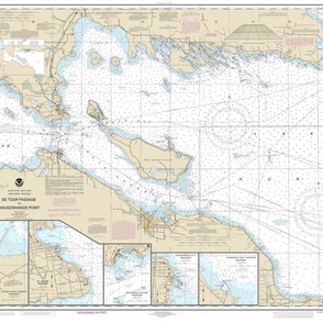 NOAA nautical chart #14881, Lake Huron, DeTour Passage to Waugoshance Point (42x31.8")