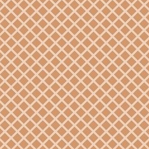 Micro Mini Scale // Garden Lattice Diamond Check on Salmon Pink