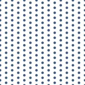 Coordinate  blue ridge  polka dots
