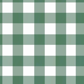 Gingham,plaid,checkered,green pattern 