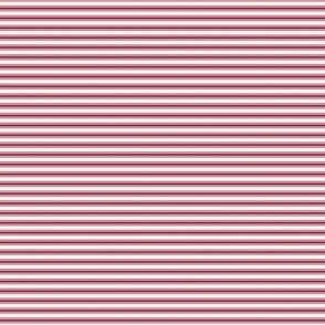 Stripe in ruby-0.5x0.24